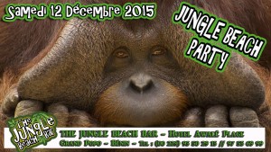 Logo jungle beach party singe